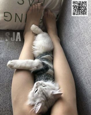 欧洲美女与动交zoz0z喝奶水_1080PHD在线观看